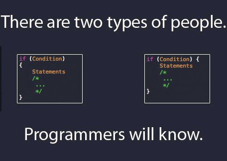 two type of programmers - funny jokes