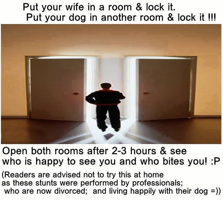 husband-wife-dog-joke