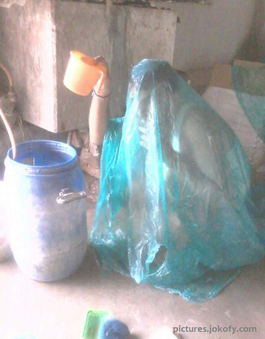 sardi-funny-picture-winter-bath